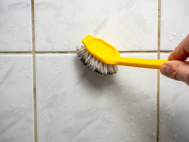 Professional Mold Remediation in Kewanee, IL