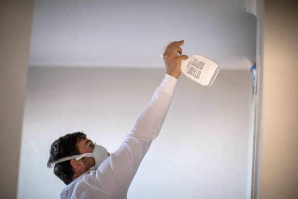 Best Post-Flood Mold Remediation in Kewanee, IL