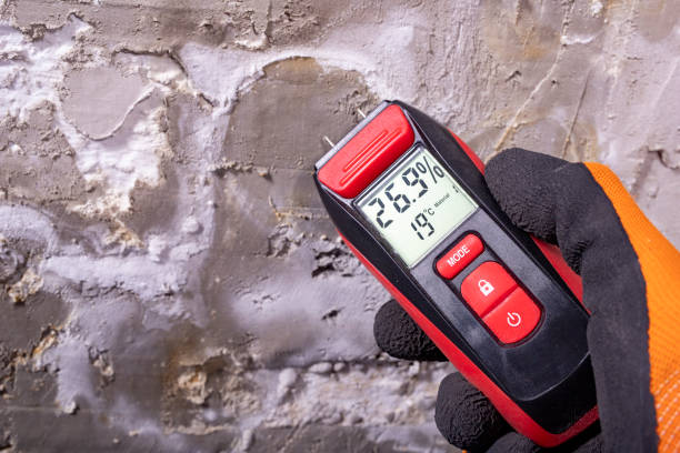Best Attic Mold Remediation in Kewanee, IL