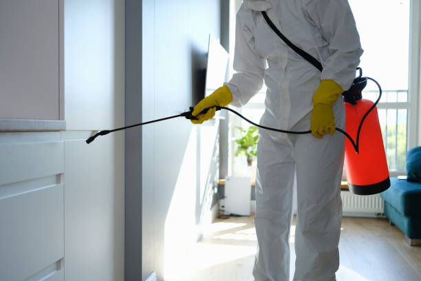 Best Commercial Mold Remediation in Kewanee, IL