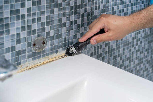 Best Post-Remediation Services in Kewanee, IL